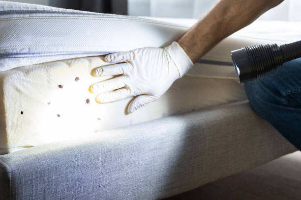 Best Pest Removal Services  in Elkton, MD