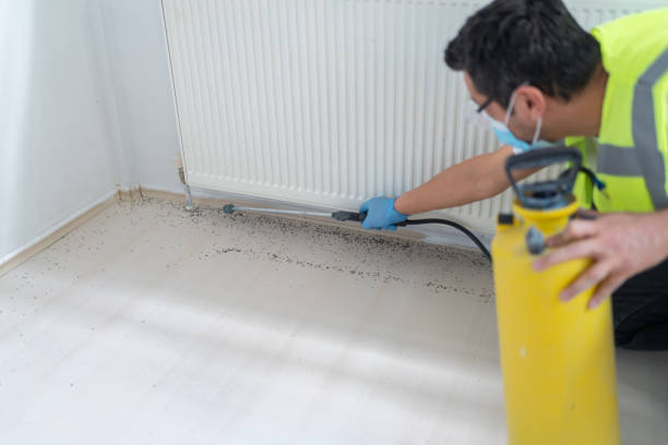 Trusted Elkton, MD Pest Control Experts